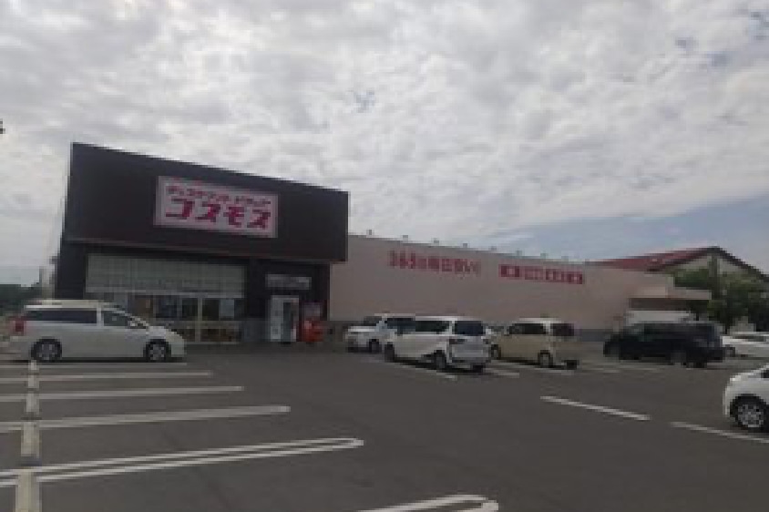 ドラッグコスモス大堤店